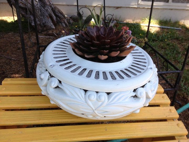 planter from a ceiling fan housing, flowers, gardening, repurposing upcycling, succulents, Ceiling housing as a succulent planter