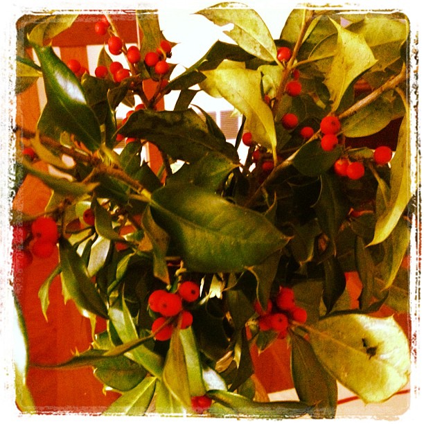 christmas at our house, christmas decorations, seasonal holiday decor, Holly from my yard