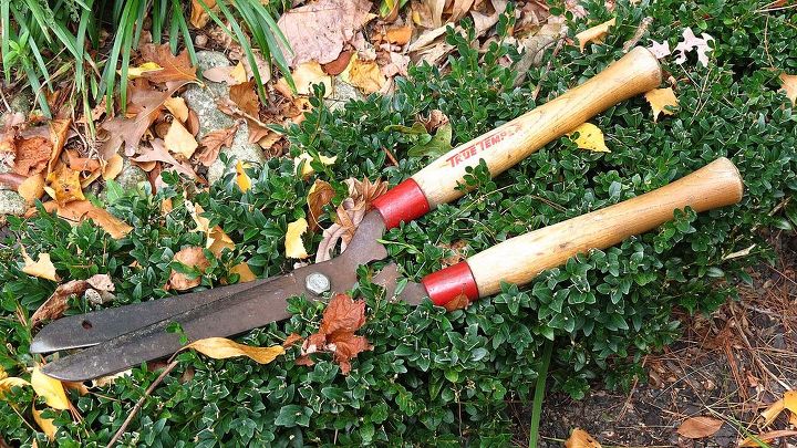 what is your least favorite gardening chore, gardening, My favorite tool for my least favorite job