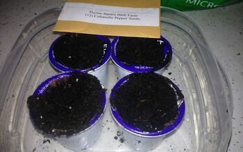Using K Cups for Seed Starters
