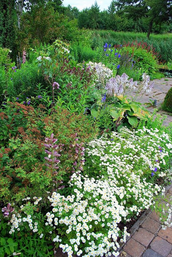 hans pardoel gardens, gardening, Different plantcombination in this terraced garden