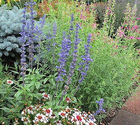 gardening inspiration karin s garden, flowers, gardening, perennials, lovely mix of shrubs perennials and annuals