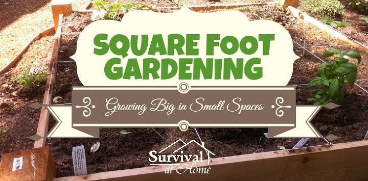 square foot gardening growing big in small spaces, gardening, raised garden beds