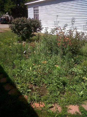 pulling weeds out of the garden, landscape, outdoor living, Before