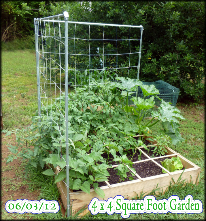 building our first sfg square foot garden, diy, flowers, gardening, how to, raised garden beds, woodworking projects
