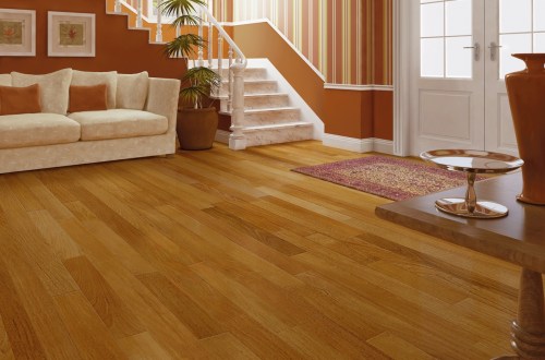 how do you take care of your wood floor, flooring, home maintenance repairs, how to, Floor mats at entryways help to limit debris and scratches on your floors