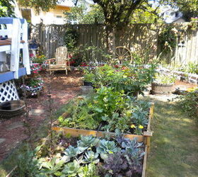 my backyard garden, flowers, gardening, outdoor living, My vegetable garden
