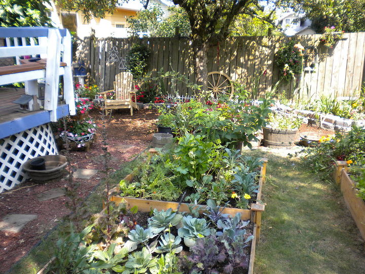 my backyard garden, flowers, gardening, outdoor living, My vegetable garden