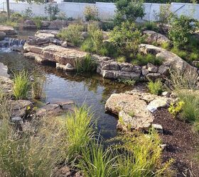 certified aquascape contractors aquascape ecosystem pond installation shedd, outdoor living, ponds water features, Only one year later