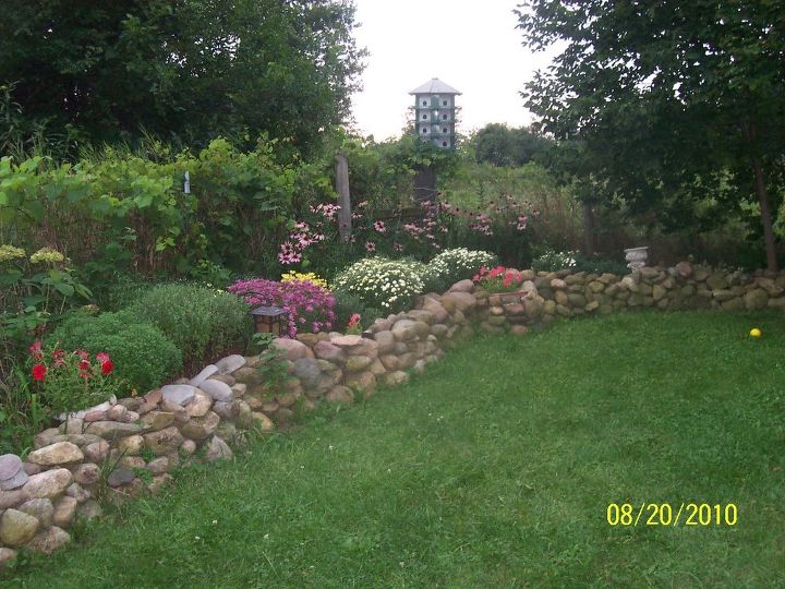 my rock garden, flowers, gardening, landscape, A little longer view of the blooms