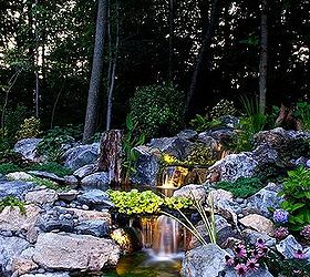 reclaim your land, landscape, outdoor living, ponds water features, First year photo