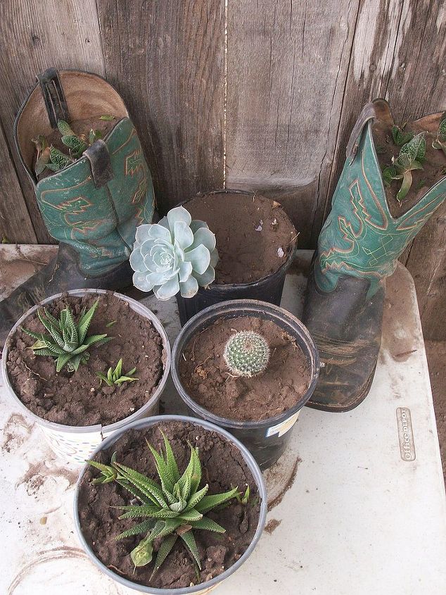 spring flowers, flowers, gardening, Used my son s old working boots as planters too