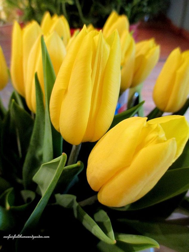 diy april showers gathering vase bouquet, flowers, gardening, home decor, Tulips