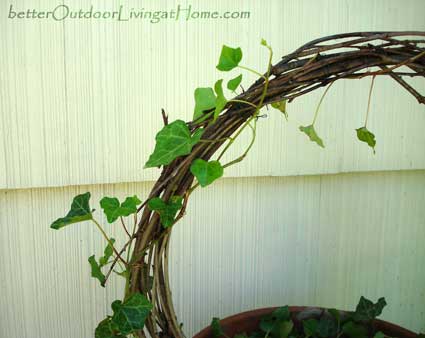 ivy covered twig wreath, crafts, gardening, wreaths