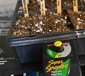 how to start seeds indoors, gardening, homesteading, Make sure to mark your plants It is never a bad idea to mark too many but is always a bad idea to not mark enough This observation comes from experience It is never any fun trying to figure out if I have a broccoli or cabbage plant