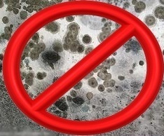 benefits of ozone for mold remediation, cleaning tips
