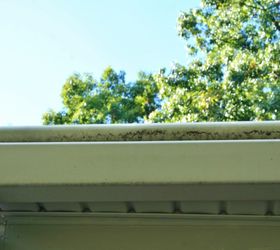 how to clean moldy gutters and bricks, cleaning tips, concrete masonry, curb appeal, More mold on the gutters