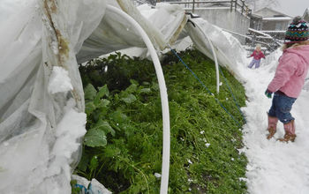 One Year -- One Ton of Fresh Food: Winter