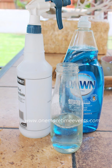 getting rid of flies fly solution, pest control, Dish Soap Water and a water bottle that is all you need