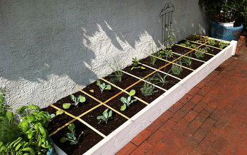 We finished planting our organic vegetable garden this week!