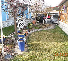 q help with my little garden, flowers, gardening, back view again