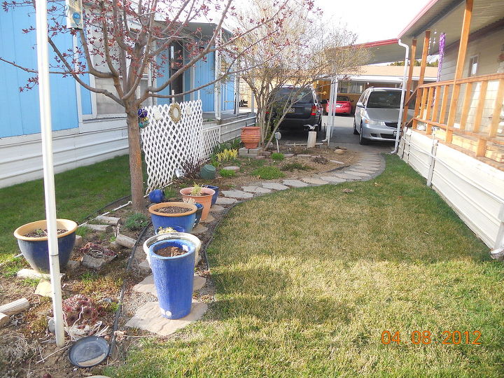 q ayuda con mi pequeno jardin, Vista trasera de nuevo