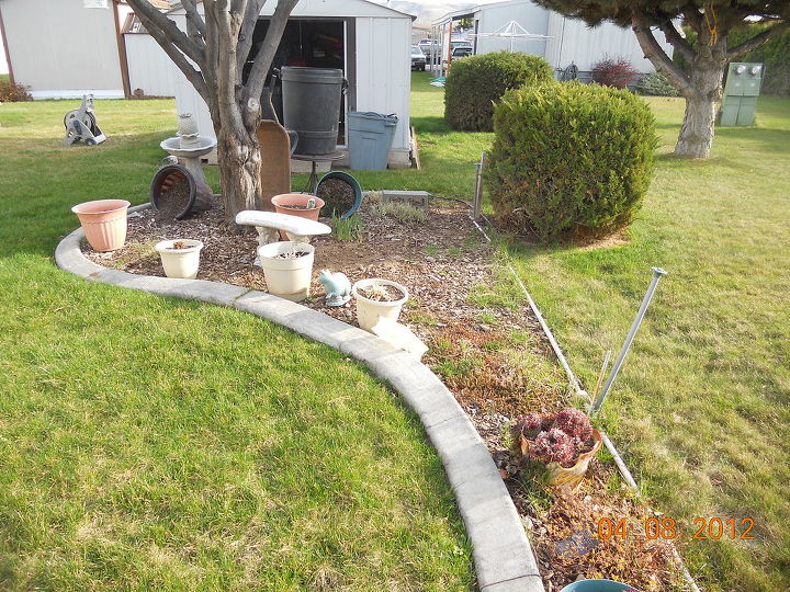 q help with my little garden, flowers, gardening, I just dont know whether to keep this or tear out the cement curb and put sod in I get overwhelmed with grass growing in Weeds i can handle grass is everywhere Krauter plum in background