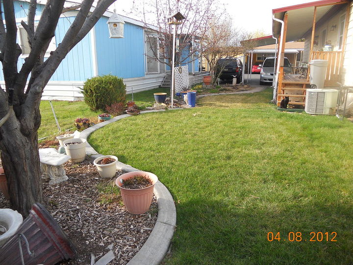 q help with my little garden, flowers, gardening, From the plum tree looking toward our house blue is neighbors bahhumbug