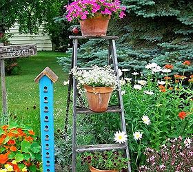 when i don t plant in junk i choose terra cotta pots, flowers, gardening, repurposing upcycling, succulents, I always anchor terra cotta pots on my border step ladder with large nails or spikes through the rungs