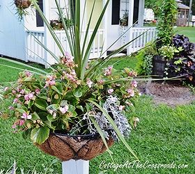 how to mount flower baskets onto wooden posts, curb appeal, diy, flowers, gardening, how to, repurposing upcycling, woodworking projects, A winning combination of dracaena begonias dusty miller ivy and vinca has bloomed all summer