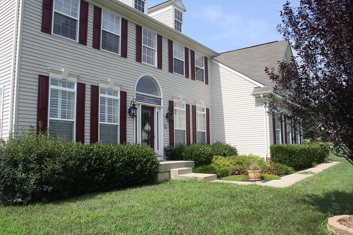 i need helpful ideas for the most boring landscaping on the planet, gardening, landscape, To the right of the door is more holly bushes spirea lilyturf salvia micrantha and phlox