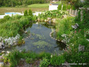 instrucciones para la construccin de un estanque en el jardn o patio trasero, Mi jard n acu tico Instrucciones de construcci n