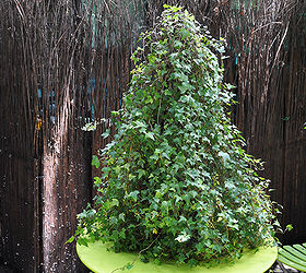 make your own garden focalpoint, flowers, gardening, Build your own topiary in any shape with chicken wire and plant an ivy