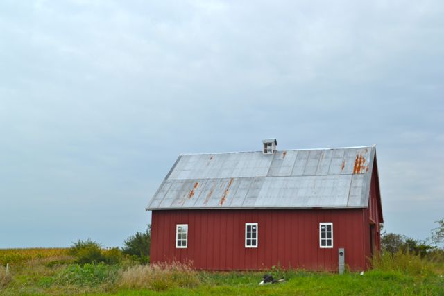 q help me pick the color of my barn entry doors, curb appeal, doors, painting, Today is old lady is looking great