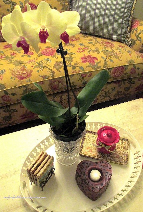 sweet amp simple valentine s day, crafts, seasonal holiday decor, valentines day ideas, Valentine orchid from my sweetie