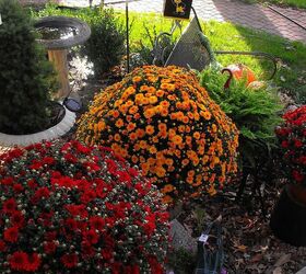 fall and halloween my favorite holidays, gardening, halloween decorations, seasonal holiday d cor, View from my front door