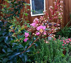 how to weatherproof a garden mirror, diy, gardening, how to, outdoor living, painting