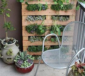 how to set up your garden in your home or apartment, container gardening, flowers, gardening, homesteading, terrarium, urban living