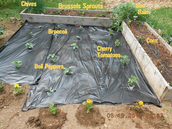 usando cabides de arame para segurar o tecido do jardim, Basta adicionar plantas