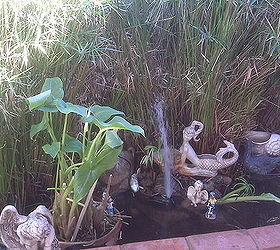 q help my pond will no longer hold water i think is is time to re line any ideas, outdoor living, ponds water features, This is how it used to look It is overgrown need to weed out restore my waterfall however whenever I fill up the pond it is empty the next day