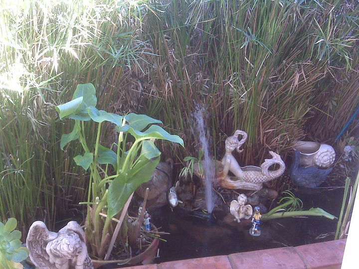 q help my pond will no longer hold water i think is is time to re line any ideas, outdoor living, ponds water features, This is how it used to look It is overgrown need to weed out restore my waterfall however whenever I fill up the pond it is empty the next day