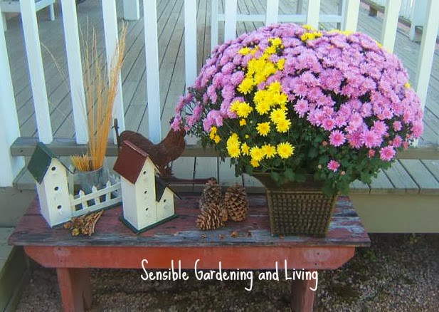 encantadores de jardim inspirados no outono e no halloween, Sensible Gardening Living usa itens de sua casa para montar uma vinheta de outono