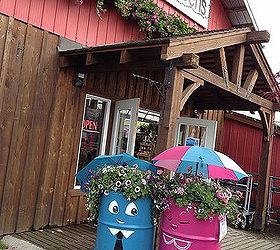 oil drum up cycle, container gardening, gardening, painting, repurposing upcycling, Ensure that you secure your umbrellas so they do not blow away on a windy day