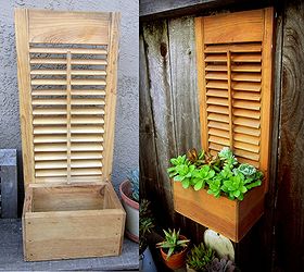 re purposed box shutter succulent planter, flowers, gardening, repurposing upcycling, succulents