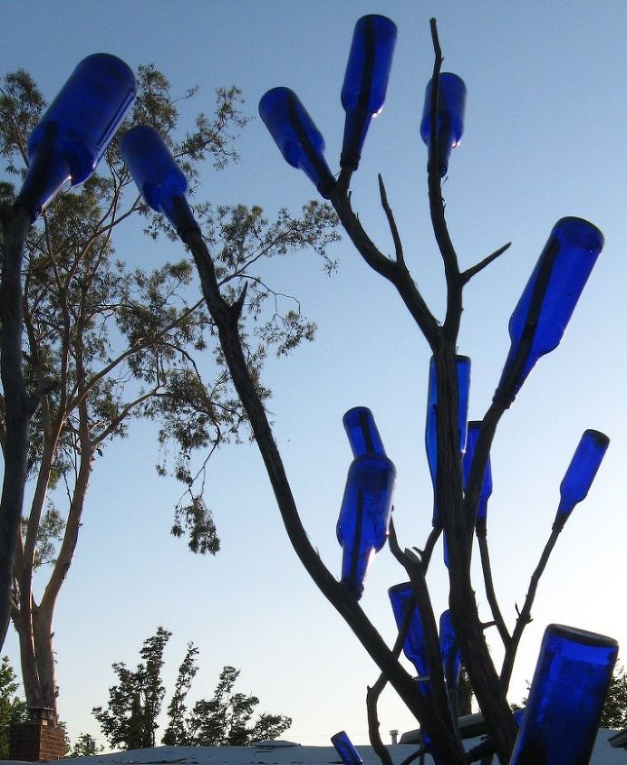 another bottle tree idea, gardening, repurposing upcycling, crapemyrtle branches are hard wood and have beautiful lines