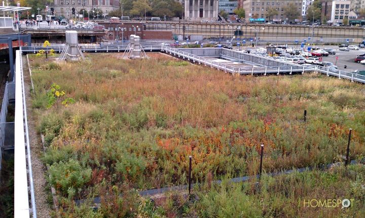 grass spaces in crazy places, flowers, gardening, landscape, urban living, Grass roof on a service building near the Staten Island ferry station