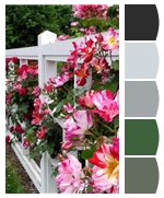 turn any photo into paint colors you love, crafts, painting, Turn photo into paint colors you love