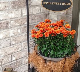 autumn porch, curb appeal, seasonal holiday decor, Mums are my favorite flower this time of year I am in love with AutumnColors