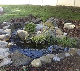 water gardens rochester ny fish ponds, landscape, ponds water features, Small fishpond with crystal clear water waterfalls pond plants LED lighting pond filtration fish cave created for a family in Webster NY