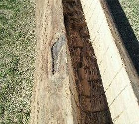 garden project, diy, gardening, The hubby made the trough 14 inches deep